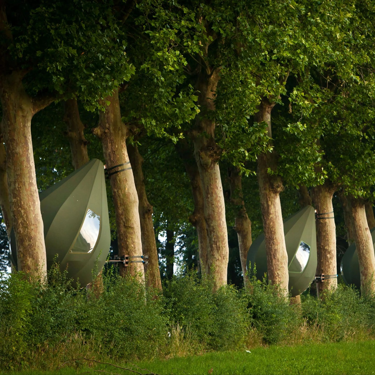 Tente d'hôtel dôme géodésique manoir serre tente loisirs resort vacances glamping extérieur tente ronde ciel étoilé transparent luxe